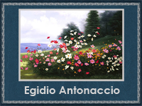 Egidio Antonaccio